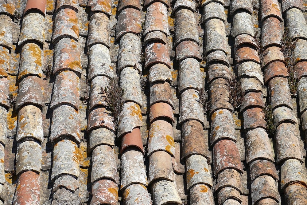 Dachziegel durch Bewuchs zerstört - zu spät für eine Dachbeschichtung