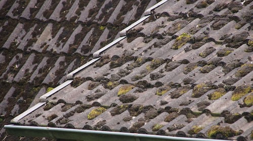 Vermoostes Dach vor der Dachreinigung